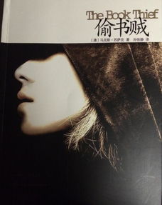 情节概述与象征解析