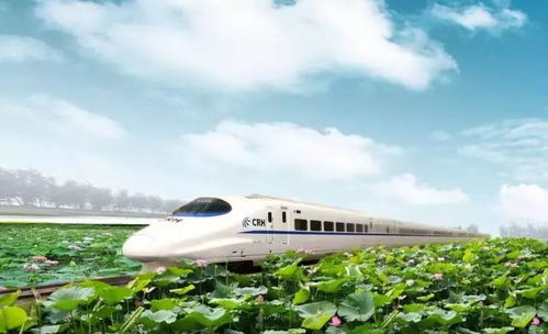 交通运输：较高铁是“意外惊喜”还是“较深坑陷阱”？