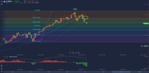 四、  时间维度的衰减效应