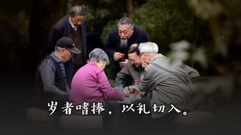 六条社交原则：构建和谐人际关系的基石