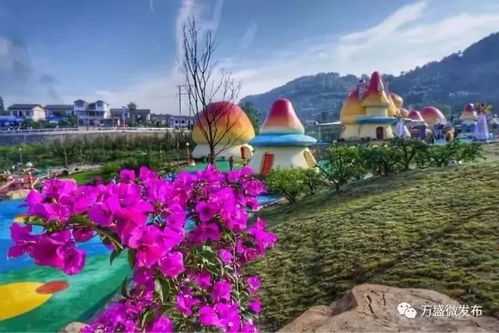 林菌谷门票优惠， 万盛旅游深度游——随意乱写的奇葩攻略