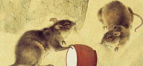 属鼠的犯刑太岁明年属蛇如何化解？刑太岁的影响及化解方法是什么？