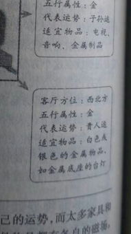 风水一家人大学生风水师秘记里有哪些不为人知的秘密？