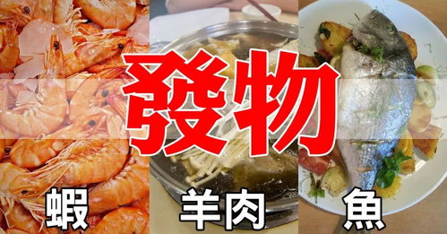 一、 敏感体质与表皮系统的防御机制解析