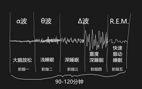 六、 生活方式干预措施及其科学研究依据