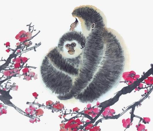 探究方法与资料来源