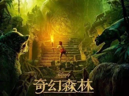 事件概述（原始事实保持不变）