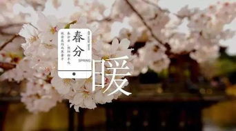 三、 兼顾美味与滋补效益的春分饮食策略