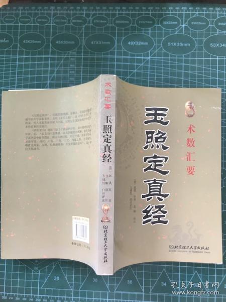 《玉照定真经》中乙辛丁与巳亥酉互见之命理机制深度解析