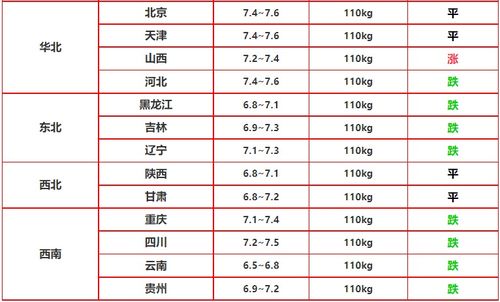 备考前期：礼仪与环境的协奏曲