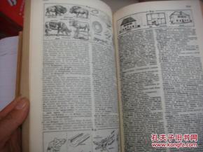 符号与文本概述