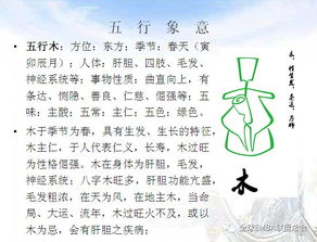 比喻阐释：命、 运与软件生态系统