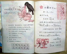 翻旧账：重温历史记忆与家庭情感