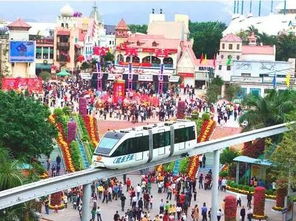 深圳欢乐谷：尖叫到嗓子哑掉失声