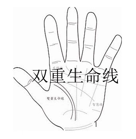 ：手相学视域下的命运图谱与财富象征