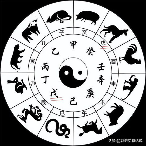 戊戌日五行是什么，五行穿衣搭配方法有哪些？