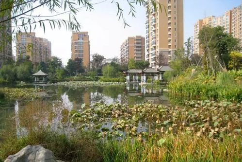 小区附近有专业风水大师可依提供咨询服务吗？