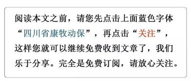 五、 双方联系：持续能量场的维系