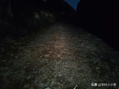 事件概况与现场数据整理