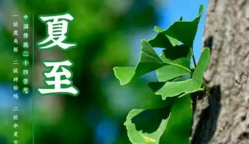 2022年三伏天的具体时间表