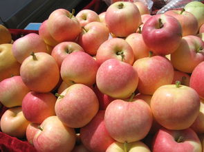 梦见购买大苹果有什么特殊寓意或征兆？