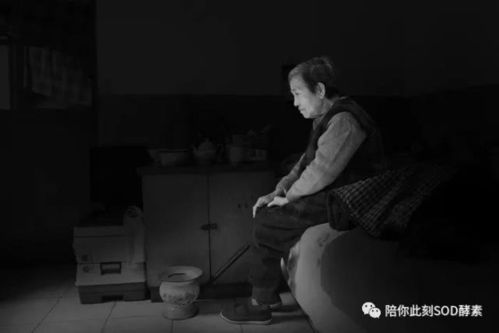 神秘的老人与黑影