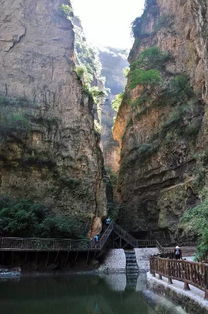 官方买票的惊天秘密