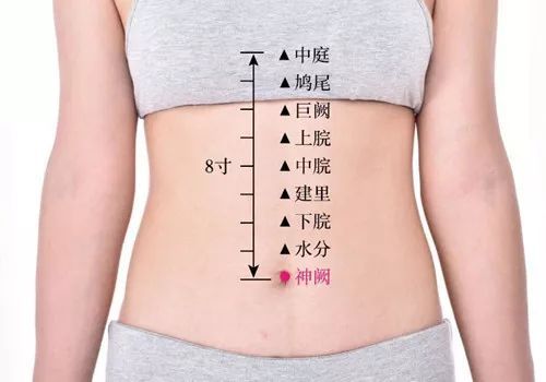 腕部“寸口”及其脉点关联