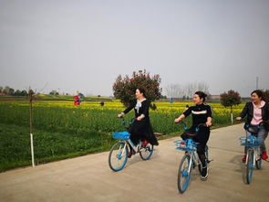 最近有没有哪个日子特别适合出行，让美好回忆成为日常？