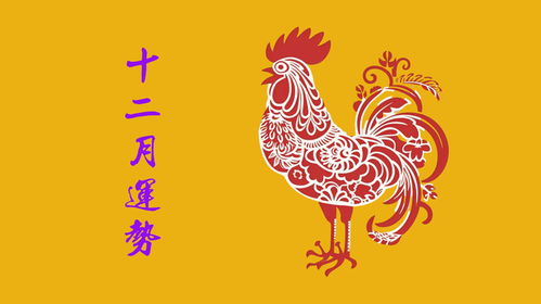 嗷呜！属虎的你们今天简直炸裂！