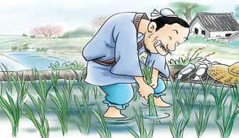 ：寓言背后的文化底蕴隐喻