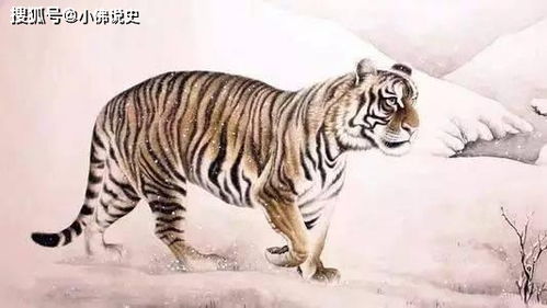 说长道短打一生肖最佳是蛇，尺有所短打一准确生肖是什么意思？改写为：尺有所短，哪个生肖最贴切？
