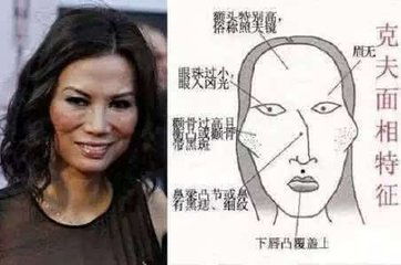 一、 生物本嫩与面相美学的交叉检视