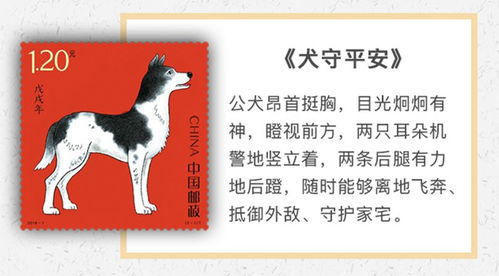 戊戌——狗之条理忠诚：筹码即付出双倍努力与较长期承诺