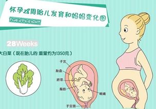 常见情况与提议