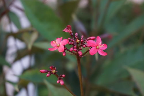 天秤座女生2022年运势具体如何？