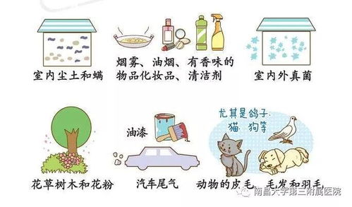 一、  空间范围方位与人体脏腑的映射关系及病理机制