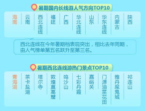 策略二：放弃 “网红爆款”， 拥抱 “宝藏冷门”