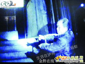 个体心理投射的深层解析