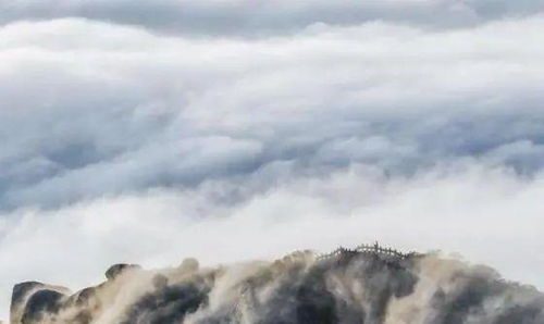 重新审视：我们到底想要什么？