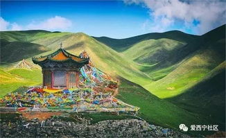 一、 背景与探究意义