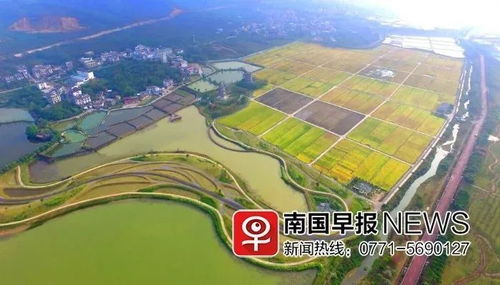 二、 气象学视角：风向、防潮与光照