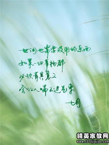 执手相依携手，这样的唯美画面，难道不是人生最美好的瞬间吗？