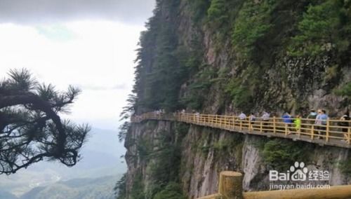 环境：说好的仙境呢？