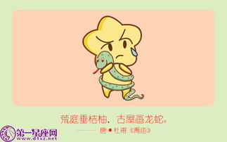 1.4 属鼠群体：子水智慧灵动催化事业突破关键节点