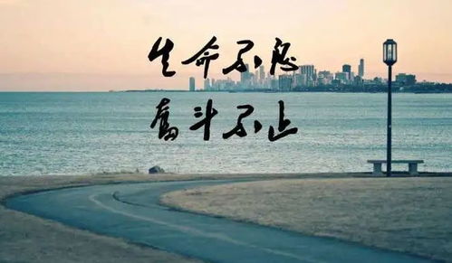 三、 情绪炸裂式励志短句（随手粘贴）