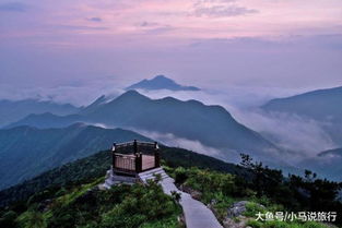 芙蓉嶂这个地方杜鹃花开起来像着火了一样壮观
