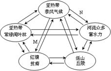 一、 判定原则的理论框架