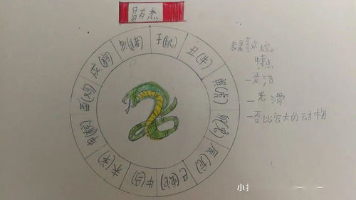 2026年2月本月纳财吉日，哪些属相的男孩能把握良机？