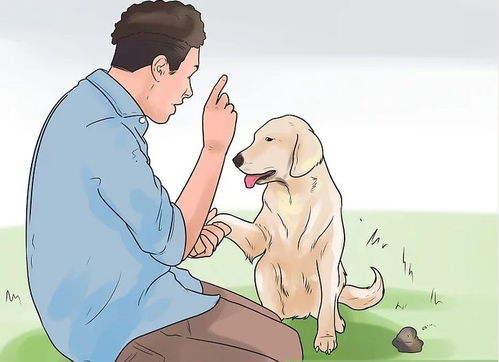 Zuo噩梦时大便粘身，这究竟是不是一个不祥的预兆？